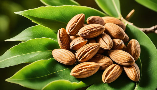 How to Incorporate the Best Mamra Badam into Your Healthy Lifestyle